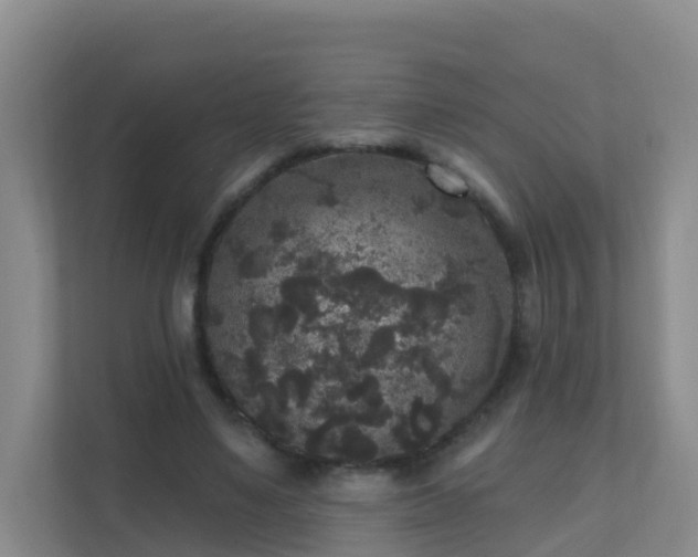 X0000111640491200907241114