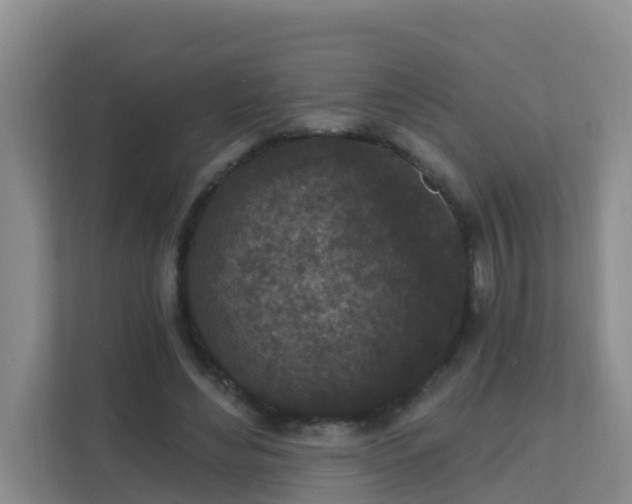 X0000111640492200907241114