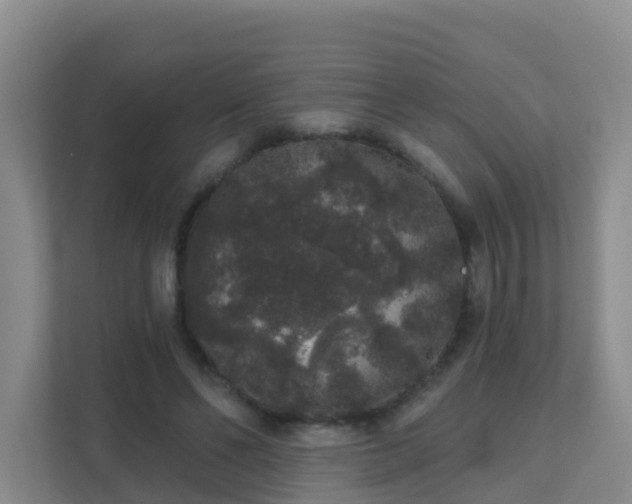 X0000111640494200907241114