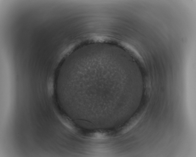 X0000111640496200907241114