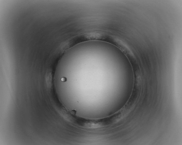 X0000111640498200907241114