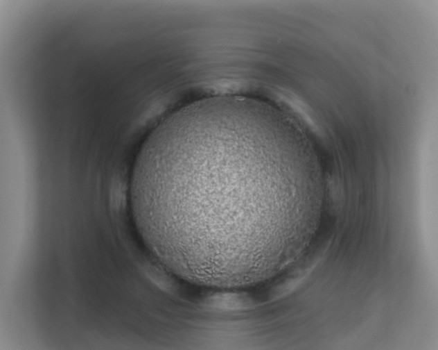 X0000111640499200907241114