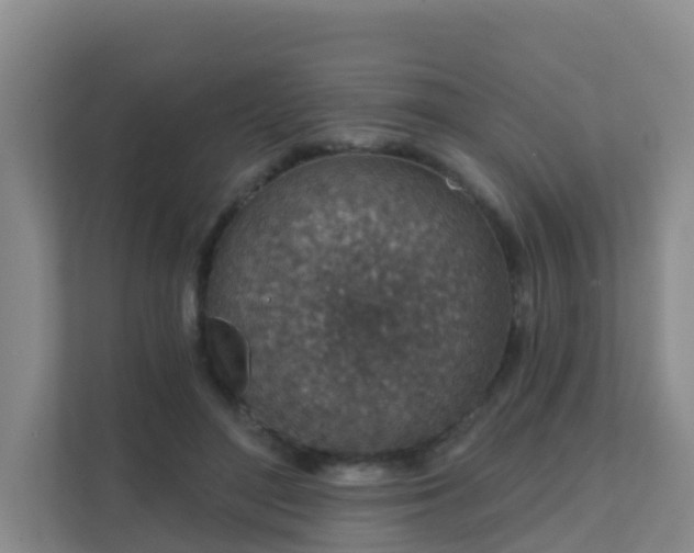 X0000111640500200907241114