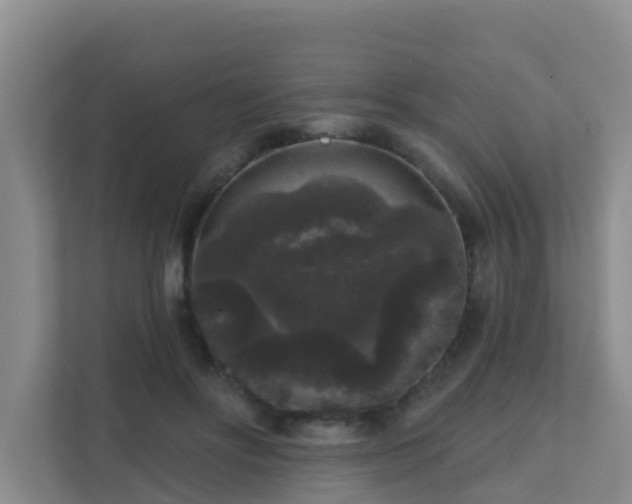 X0000111640502200907241114