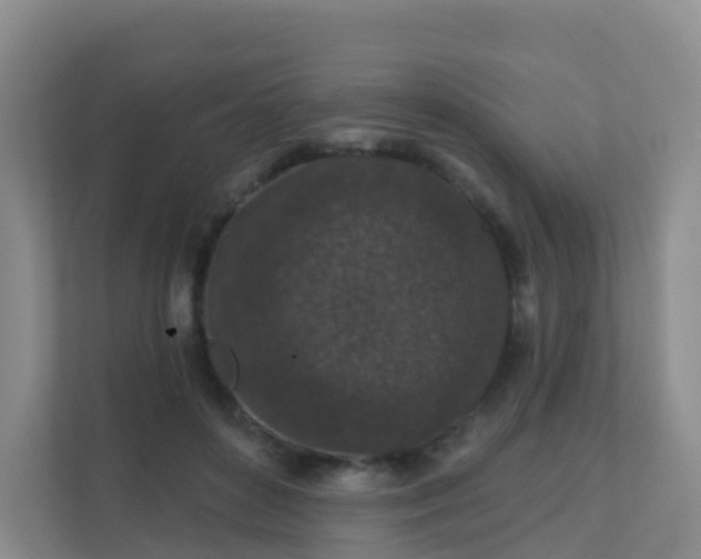 X0000111640504200907241114