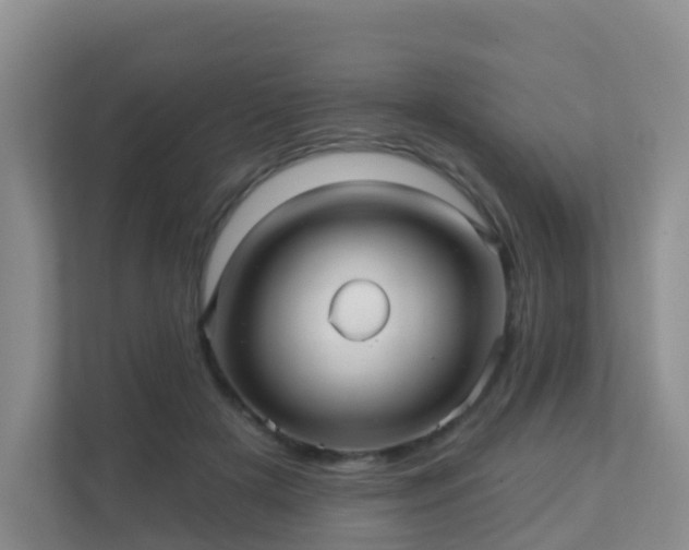 X0000111640505200907241114