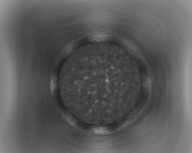 X0000111640507200907241114