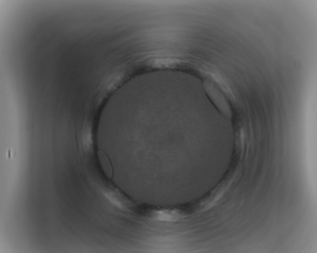 X0000111640508200907241114