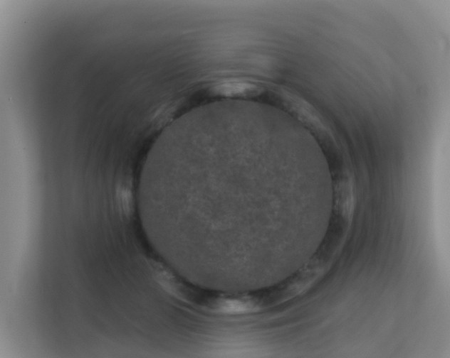 X0000111640510200907241114