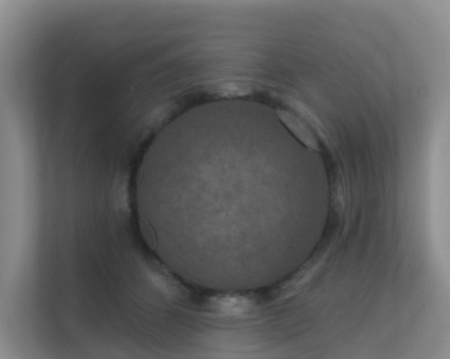 X0000111640512200907241114