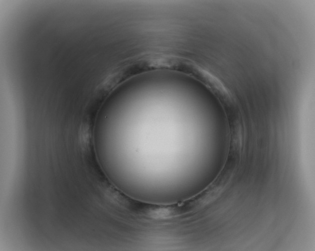 X0000111640513200907241114