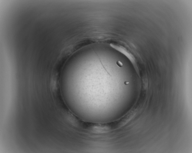 X0000111640515200907241114