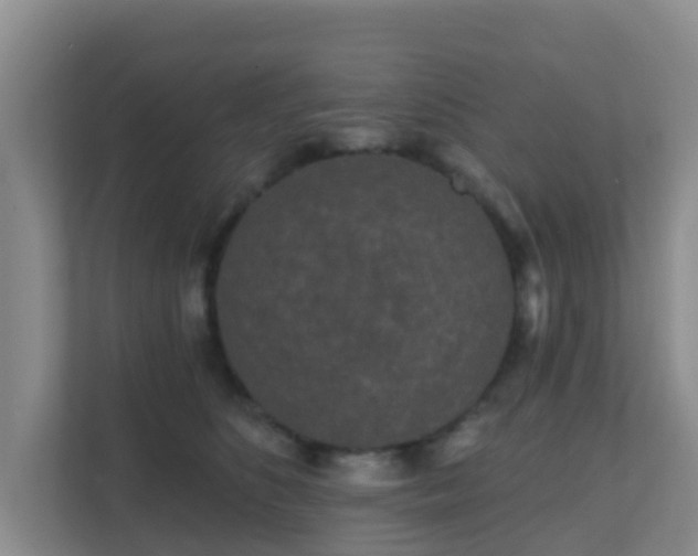 X0000111640516200907241114