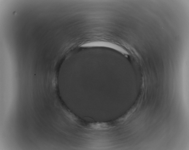 X0000111640517200907241114