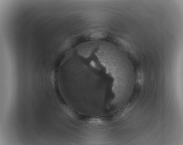 X0000111640519200907241113