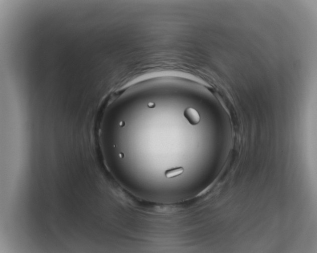 X0000111640520200907241113