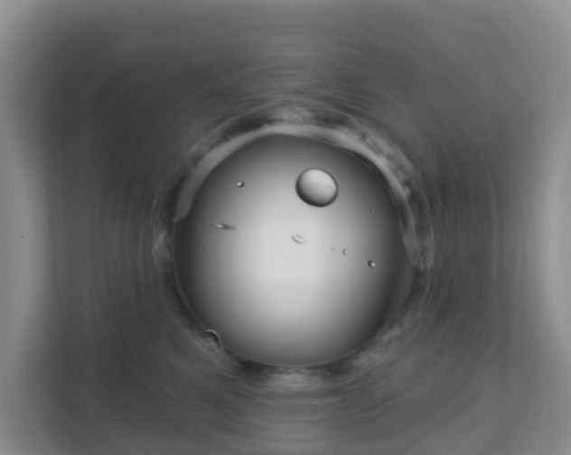 X0000111640521200907241113