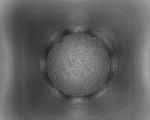 X0000111640523200907241113