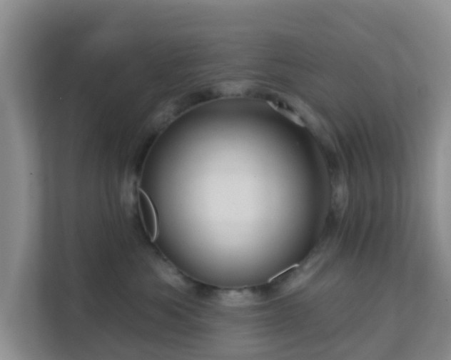 X0000111640525200907241113