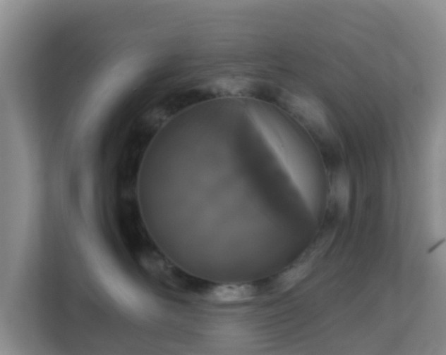 X0000111640526200907241113