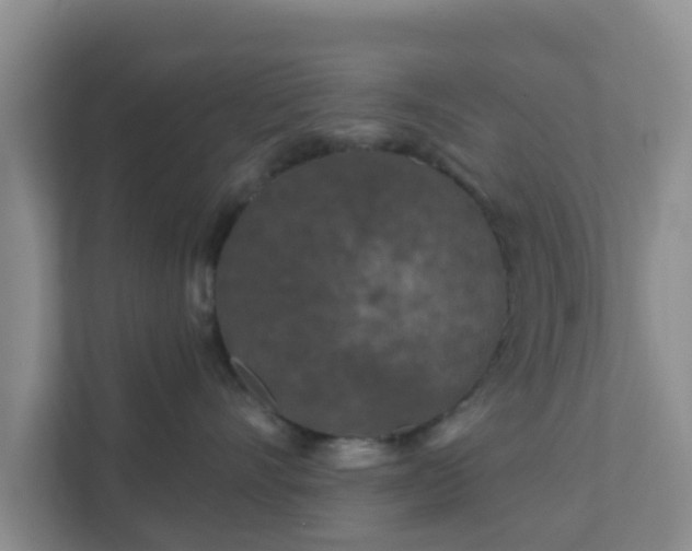 X0000111640528200907241113