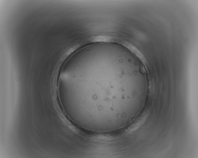 X0000111640529200907241113