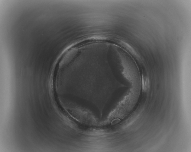 X0000111640531200907241113