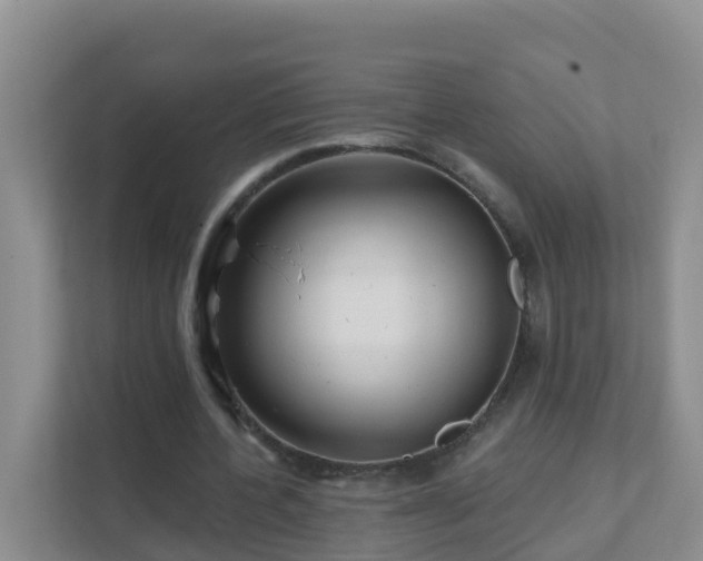 X0000111640532200907241113