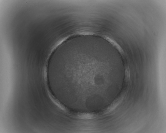 X0000111640533200907241113