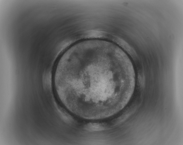 X0000111640534200907241113