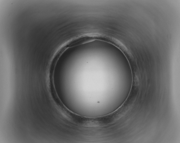 X0000111640535200907241113