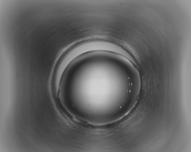 X0000111640536200907241113