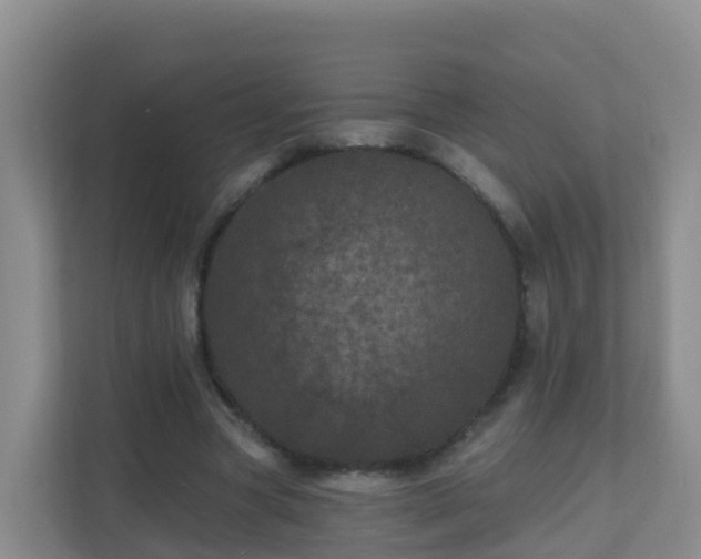 X0000111640537200907241113