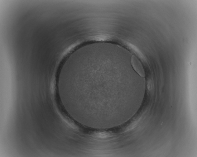 X0000111640540200907241113