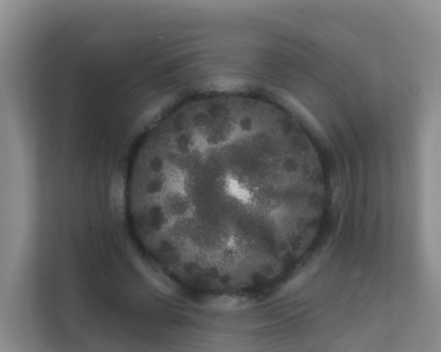 X0000111640542200907241113