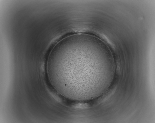 X0000111640543200907241113