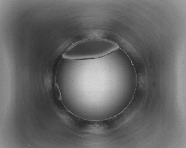 X0000111640544200907241113