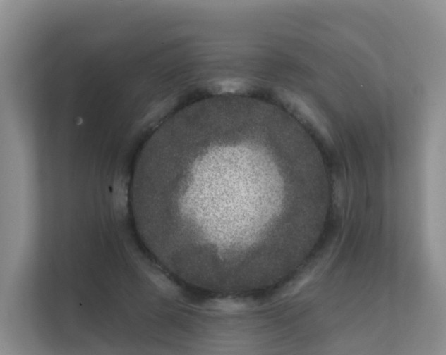 X0000111640545200907241113