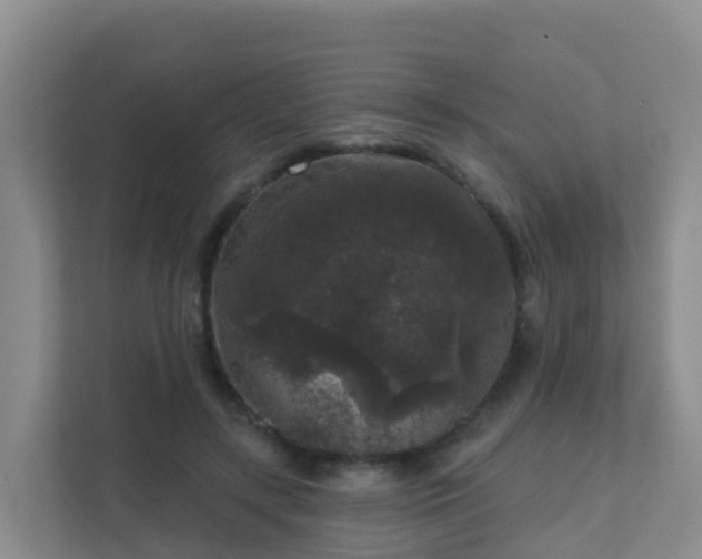 X0000111640547200907241113