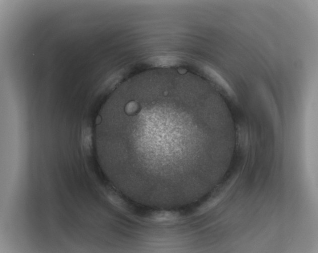 X0000111640549200907241113