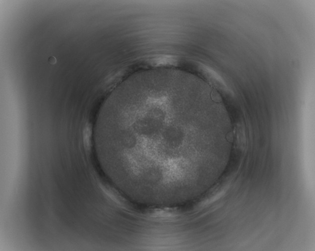 X0000111640550200907241113