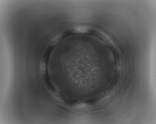 X0000111640551200907241113