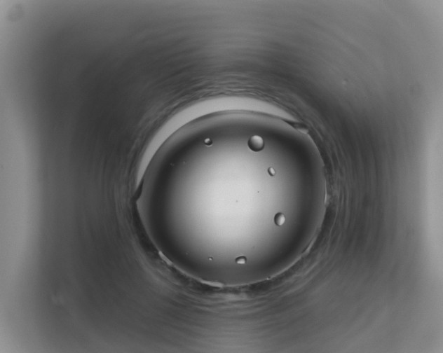 X0000111640552200907241113