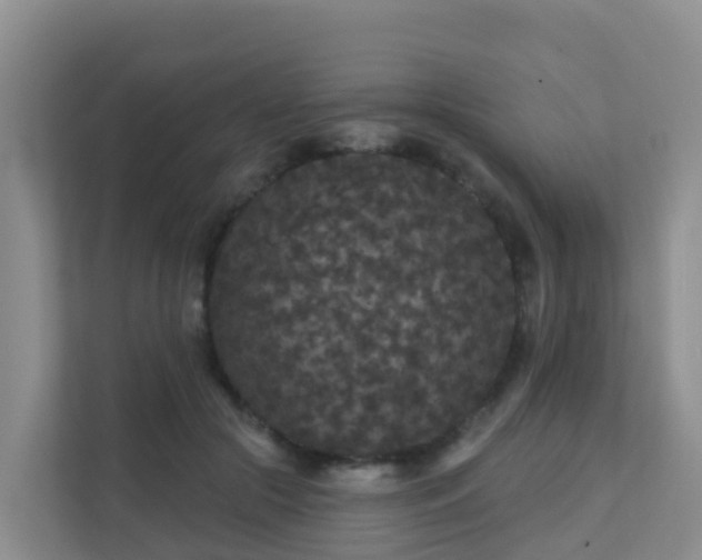 X0000111640553200907241113