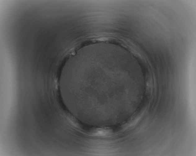 X0000111640555200907241113