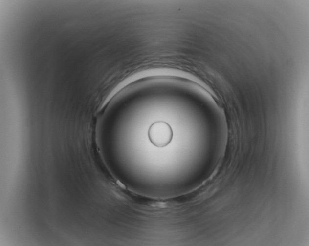 X0000111640558200907241113