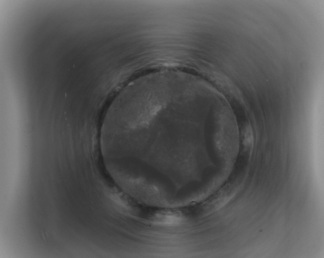 X0000111640559200907241113