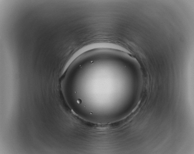 X0000111640560200907241113