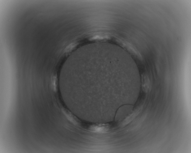 X0000111640563200907241113