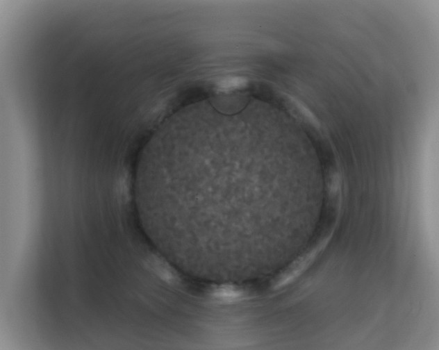 X0000111640565200907241113